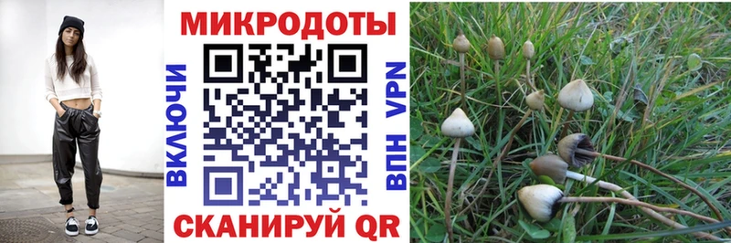 Псилоцибиновые грибы MAGIC MUSHROOMS  сколько стоит  kraken как войти  Облучье 